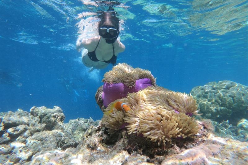 Four Island Canoe Tour - Discover the Coral-rich An Thoi Islands